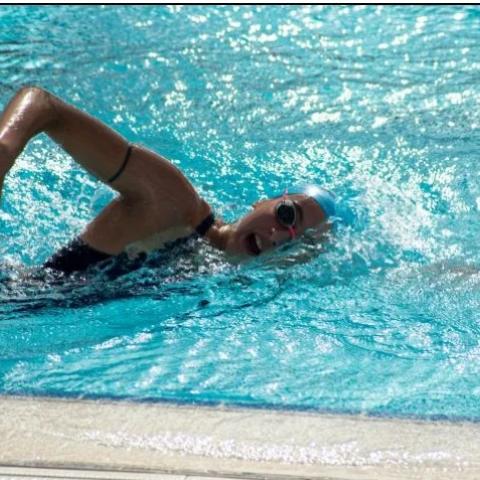 Albercas GRATIS en Guadalajara; conoce las sedes participantes