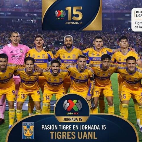 Tigres 15