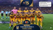 Tigres 15