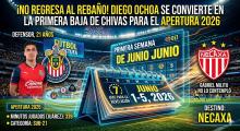 Diego Ochoa